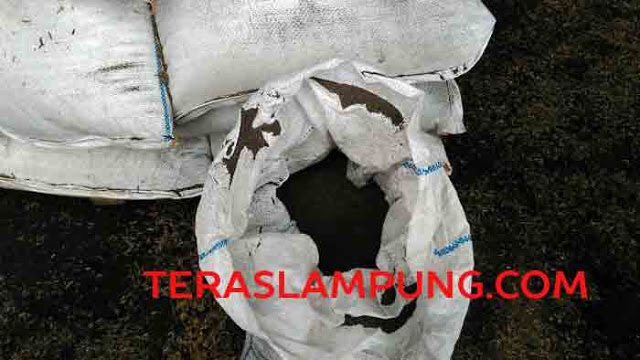 Penyelundupan Pasir Timah Senilai Rp2,1 M, PT WPS Kelabui Petugas dengan Arang Kayu