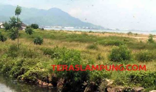 Pemeriksaan Walikota Herman HN, Kejati Lampung: Kejagung Klarifikasi Izin Reklamasi Pantai