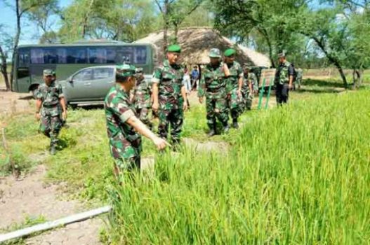 Aster Panglima TNI : Cetak Sawah Bernilai Strategis untuk Swasembada Pangan
