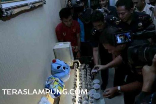 Ratusan Tarantula Asal Thailand Diselundupkan ke Lampung dengan Boneka dan Pampers