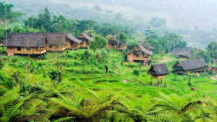 Lomba Menulis Cerpen Cerita dari Kampung