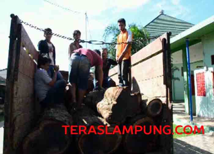 Korem Garuda Hitam Amankan Enam Terduga Pelaku Pembalakan Liar di Hutan Register 19 Tahura Wan Abdurrahman