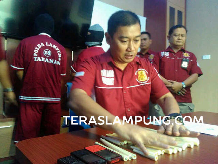 PNS Lamtim Anggota Sindikat Penjual Gading Gajah Dibekuk Polisi