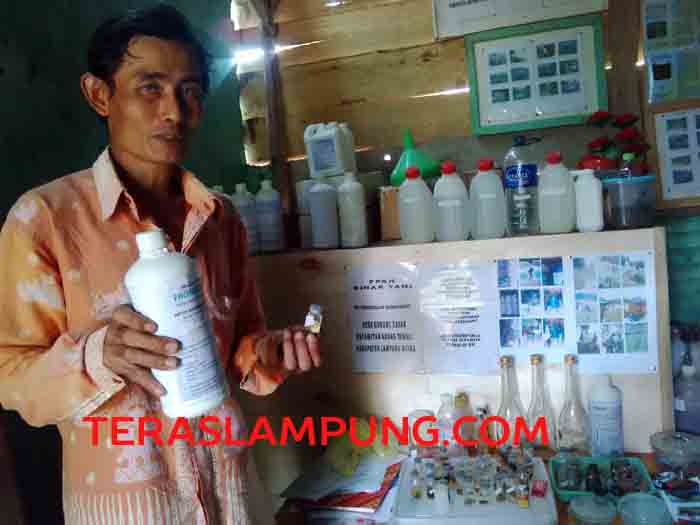 Para Petani di Desa Gunung Sadar Kembangkan Pupuk Cair Organik