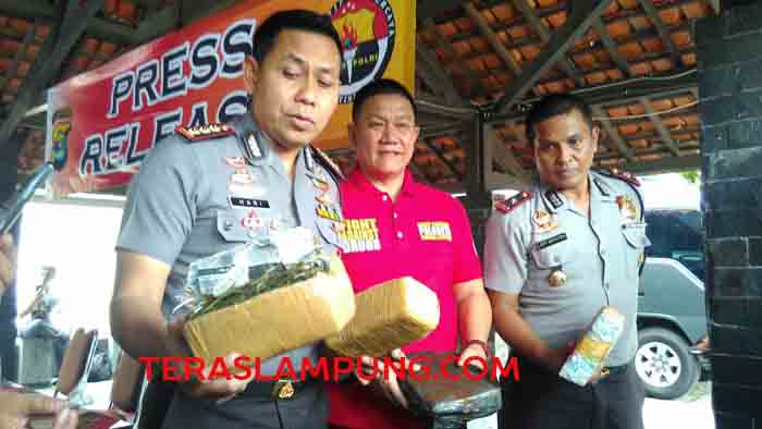 Warga Tanjungkarang Timur Ini Terima 99 Kg Ganja dan 180 Butir Ektasi dari Aceh Melalui Kantor Pos