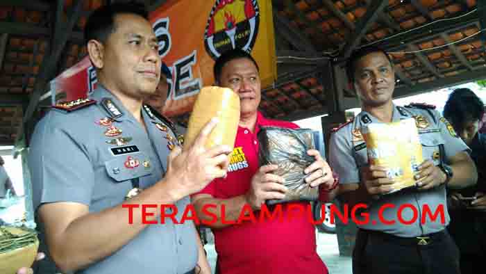 Sebelum Diedarkan di Semua Kabupaten, 99 Kg Ganja Disimpan di Rumah Kosong di Kedaton