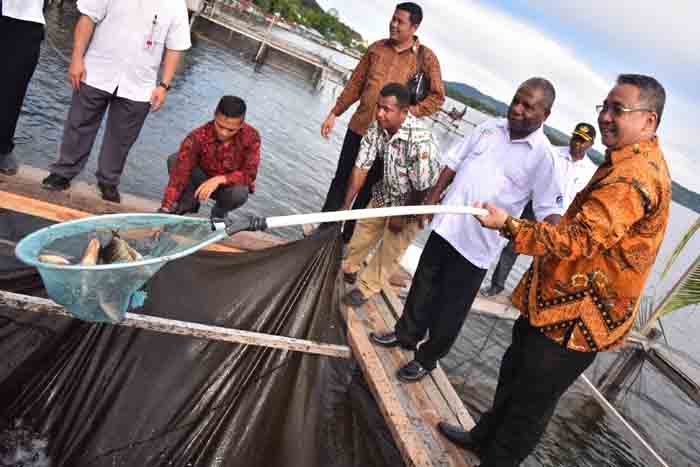 Hasil BUMDesa Kampung Mendali di Papua Kini Mulai Terlihat Nyata