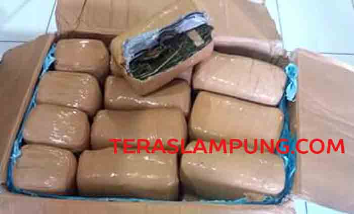 Ganja seberat 99 Kg dari Aceh Dikemas dalam Tiga Kardus Besar
