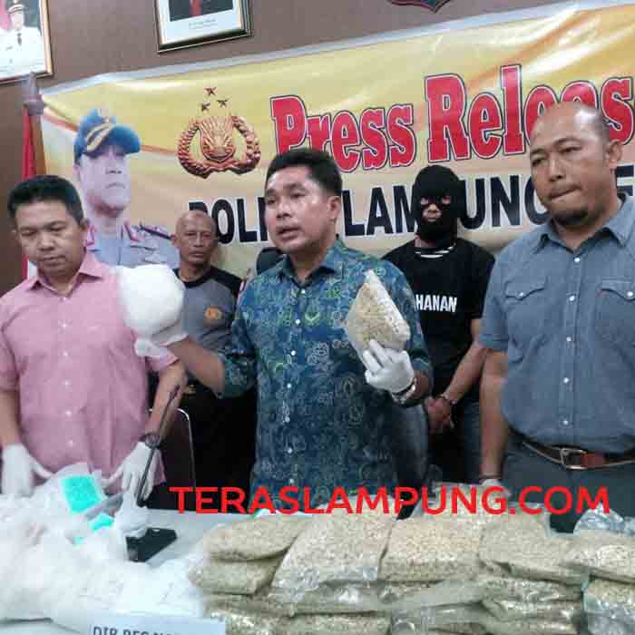 Kapolres Tuba Hadang Bus Muatan 145 Ribu Butir Pil Ekstasi Asal Riau