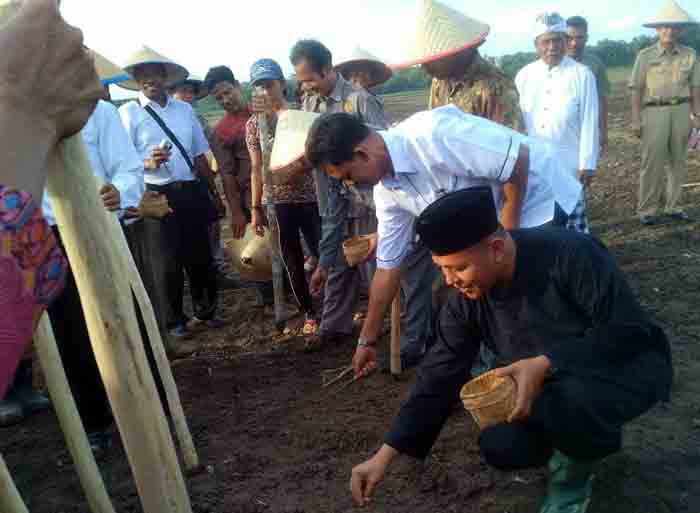 Pemkab Lampung Tengah Cetak 445 Hektare Sawah baru