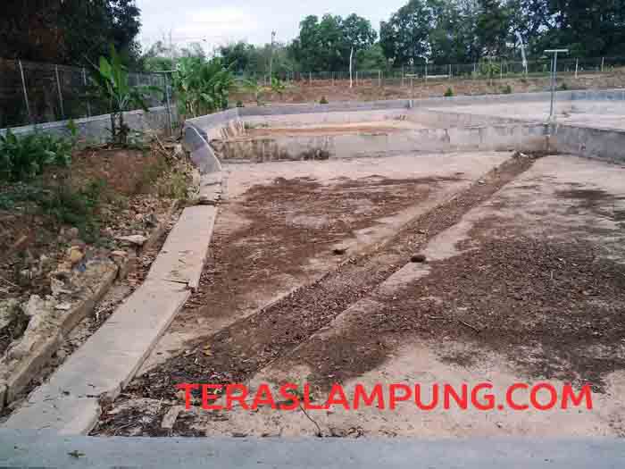 Miris! Balai Benih Ikan dengan Aset Rp 10-an Miliar Ini Terbengkelai dan Mati Suri