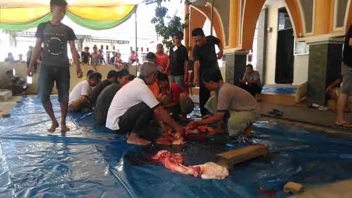Idul Adha 1437 H, Pengurus Masjid Latansa Beringin Raya Sembelih Lima Sapi