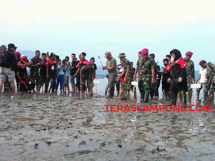 Iwan Fals Bersama Prajurit TNI dan Anggota Oi Tanam 5.000 Mangrove di Pantai Marines Eco Park