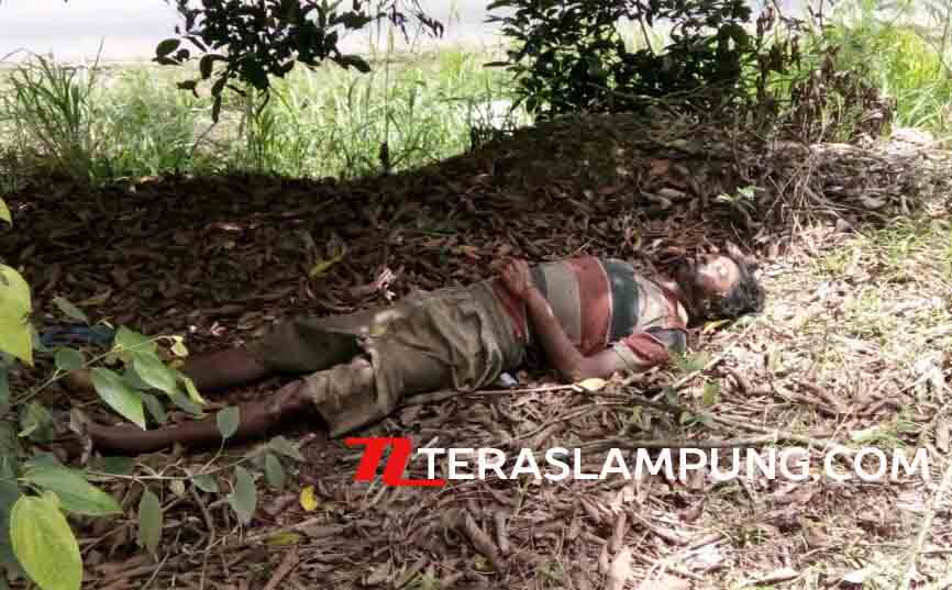 Mayat Pria Tanpa Identitas Ditemukan di Dusun Talang Lampung Utara