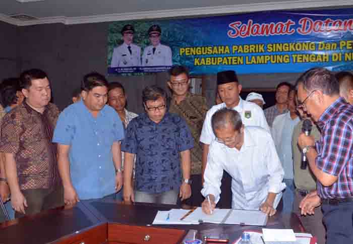 Akhirnya Empat Perusahaan Tapioka di Lampung Tengah Naikkan Harga Singkong