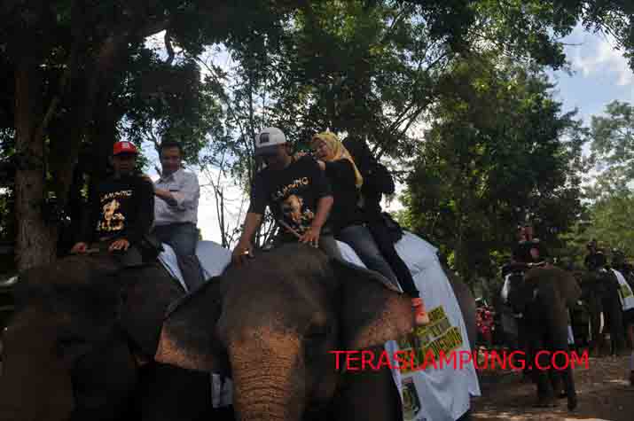 Festival Way Kambas 2016: Imam Nahrowi, Azis Syamsudin, dan Chusnania Naik Gajah