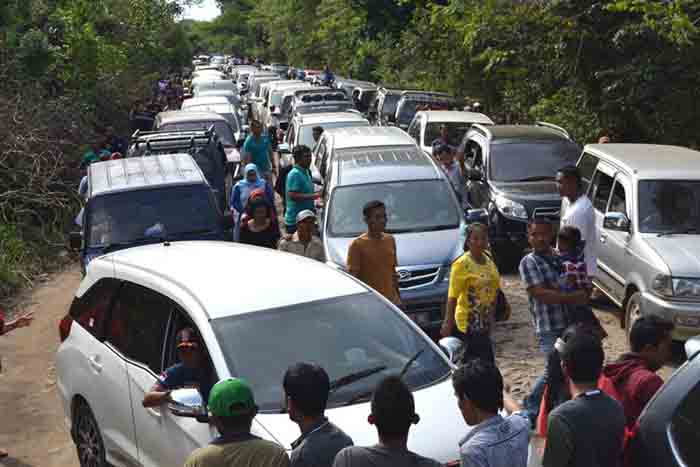 Menikmati Macet Total di Taman Nasional Way Kambas