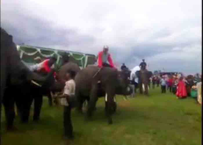 Joget Dangdut ala Gajah Way Kambas