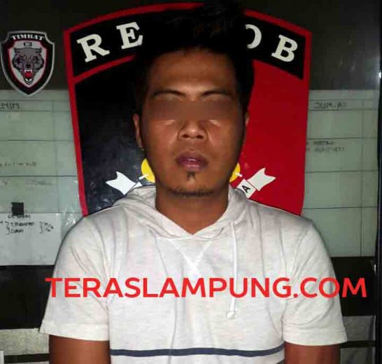 Warga Bandarlampung Ini Gelapkan 10 Unit Mobil Senilai Rp1,2 Miliar