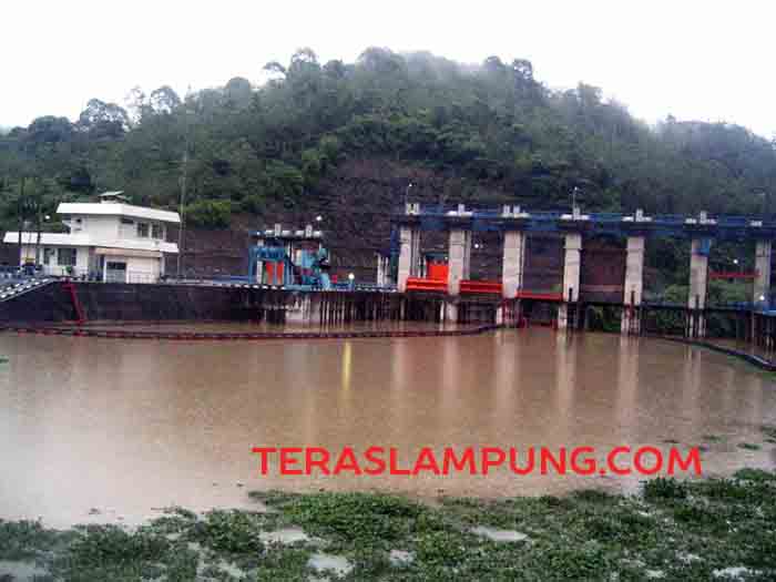 Sungai Way Besai Meluap, Jutaan Ikan Nila di BBI Sumberjaya Hilang