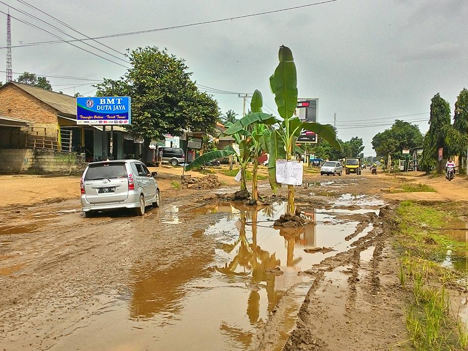 Wah, Pohon Pisang Tumbuh Subur di Tengah Jalan Ir. Sutami Lampung Timur