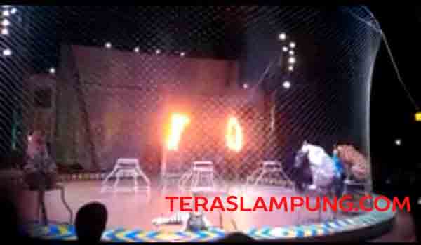 Pertunjukan Sirkus di Lapangan Saburai Jadi Tontonan Alternatif Masa Liburan