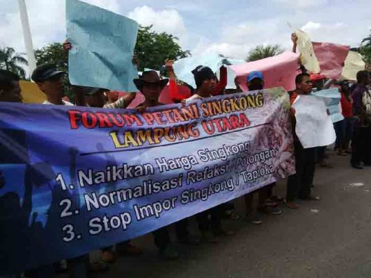 Harga Singkong Tetap Anjlok, Petani Demo di Depan Kantor Pemkab Lampura