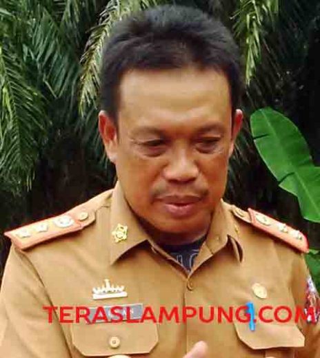 Ini Penyebab Pupuk Langka di Abung Timur Menurut Kadis Pertanian Lampung Utara