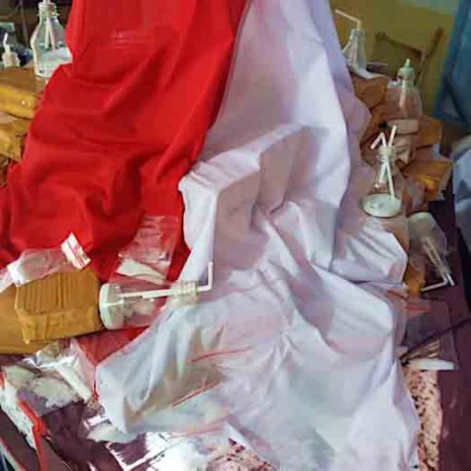 Dua Perupa Lampung akan Ikuti Biennale Pameran Nusantara 2017