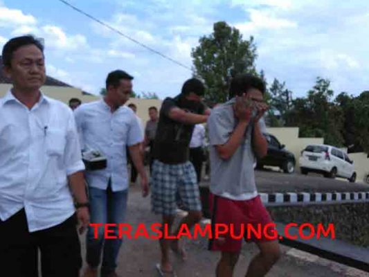 Polda Lampung Ungkap Peredaran Narkoba Jenis Tembakau Gorila