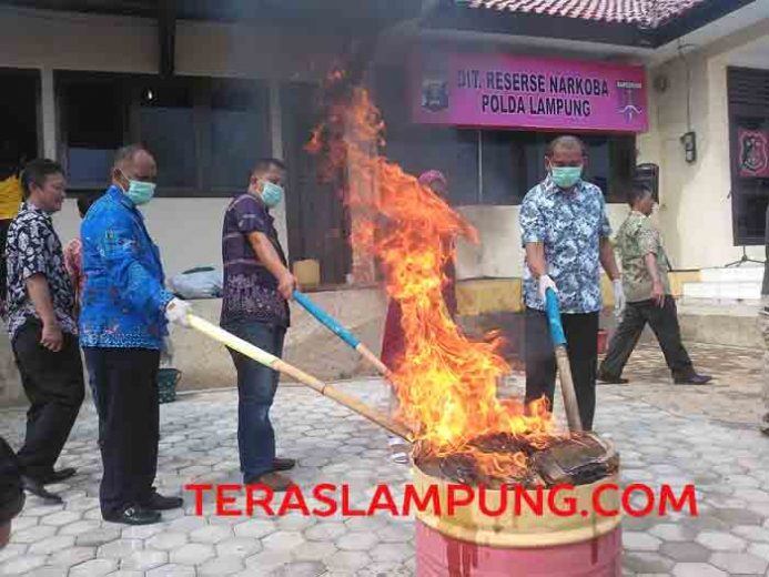 Galeri Foto Pemusnahan BB Narkoba Senilai Miliaran Rupiah