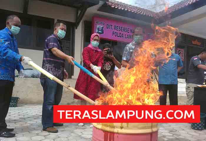 Polda Lampung Musnahkan Barang Bukti Narkoba Senilai Miliaran Rupiah