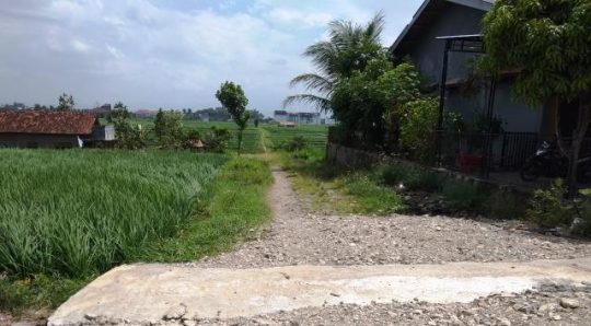 Warga Berharap Pemkab Pringsewu Bangun Dua Jalan Tembus