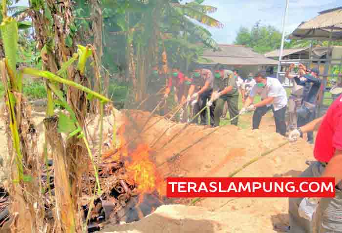 Balai Karantina dan KSKP Panjang Musnahkan Tiga Ton Daging Celeng