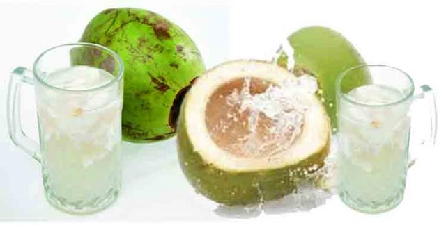 Benarkah Minim Air Kelapa Selama Dua Minggu Bisa Merontokkan Lemak Pembuluh Darah?