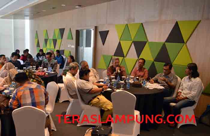 Walhi Minta Para Pelaku Ilegal Logging di Hutan Produksi Pesisir Barat Ditindak Tegas