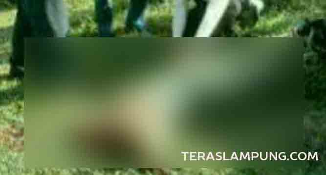 Tabung Karbit Meledak, Tukang Balon Tewas dengan Kepala Putus