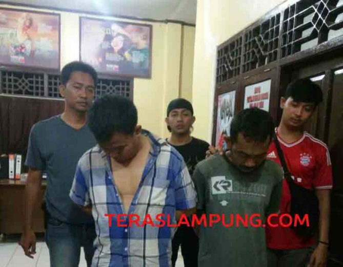 Bawa Sabu-Sabu, Dua Warga Kampung Baru Kotabumi Dicokok Polisi