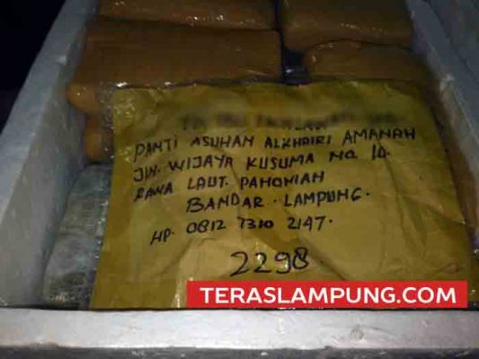 Ganja 137 Kg Asal Medan Ini Dikirim ke Alamat Panti Asuhan di Bandarlampung
