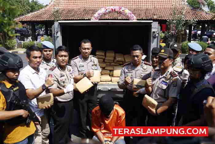 KSKP Panjang Gagalkan 256 Paket Ganja yang akan Diselundupkan ke Jakarta