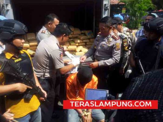Inilah Pertama Kali 256 Paket Ganja Asal Aceh Dikirim Lewat Tol Laut Pelabuhan Panjang
