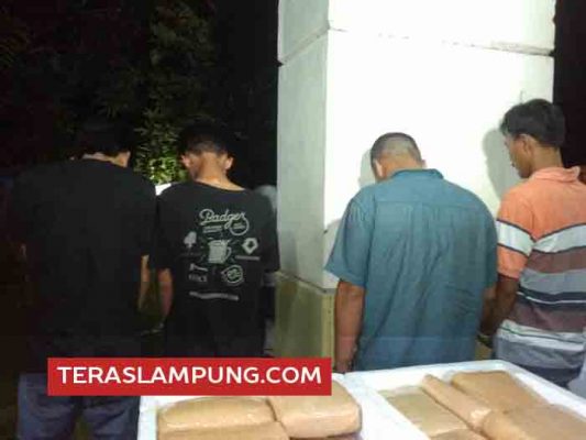 Kronologi Penangkapan Empat Tersangka Penyelundupan 137 Kg Ganja Asal Medan