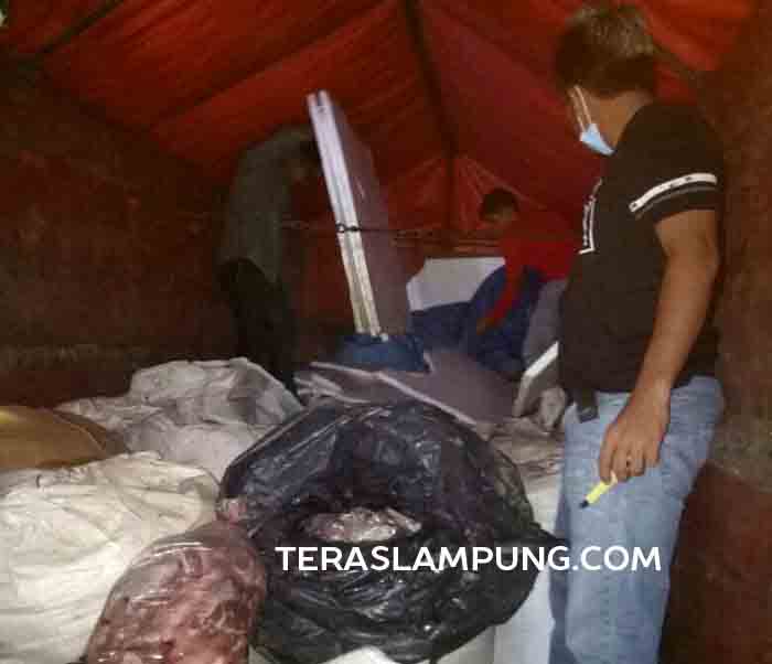 Penyelundupan 2,3 Ton Daging Celeng Lewat Pelabuhan Bakauheni Digagalkan Tim Gabungan