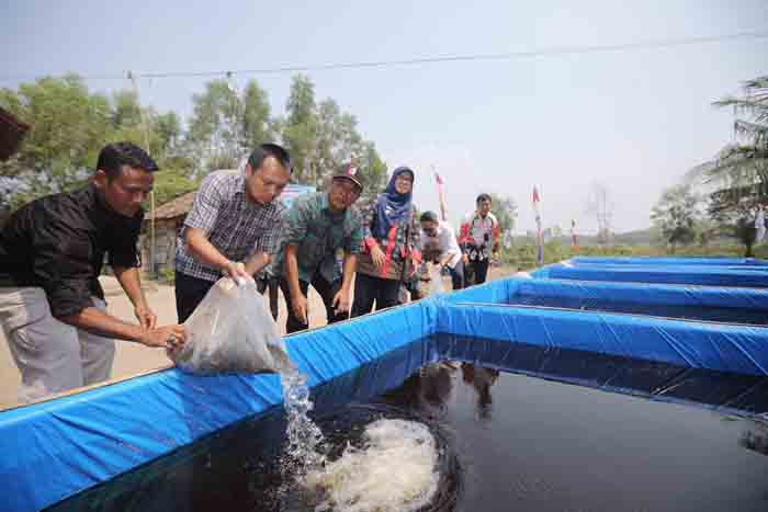 Gubernur Lampung Luncurkan Minapolitan di Kecamatan Pasir Sakti