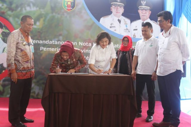 Promosikan Kopi Lampung ke Mancanegara, Pemprov Gandeng Nestle Cantumkan Logo Siger di Kemasan Kopi
