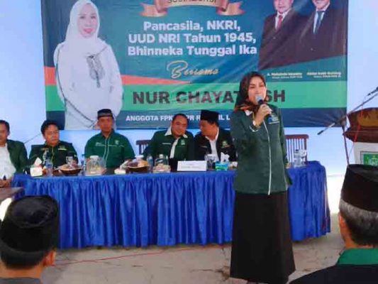DPC PKB Lampung Utara Sosialisasikan Empat Pilar Kebangsaan