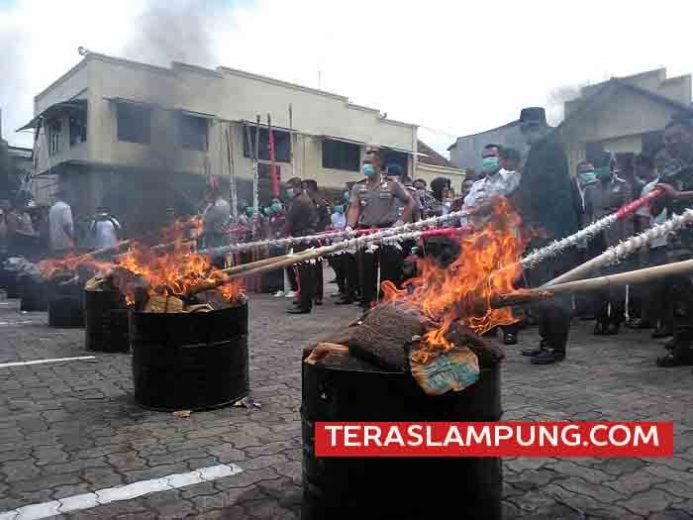 Polda Lampung Musnahkan Barang Bukti Narkoba, Senpi Rakitan, Makanan Berbahaya, dan Barang Ilegal