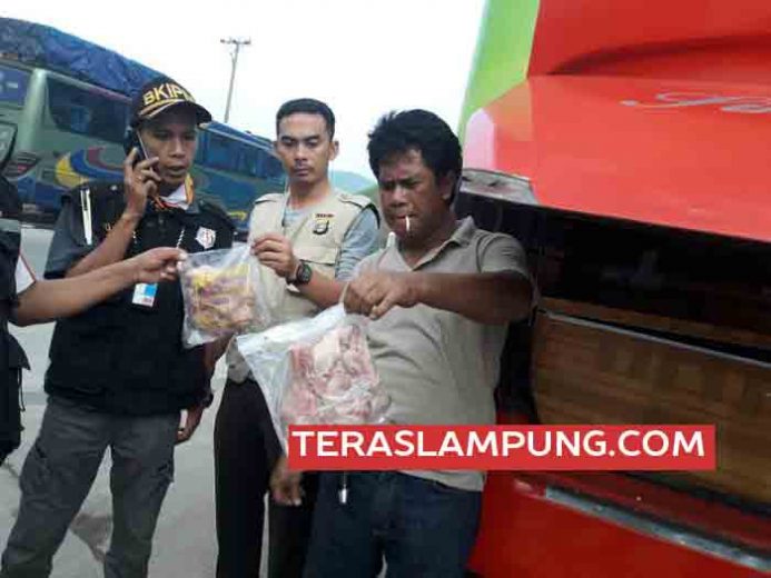 KSKP Bakauheni Sita 250 Kg Daging Burung Puyuh Ilegal