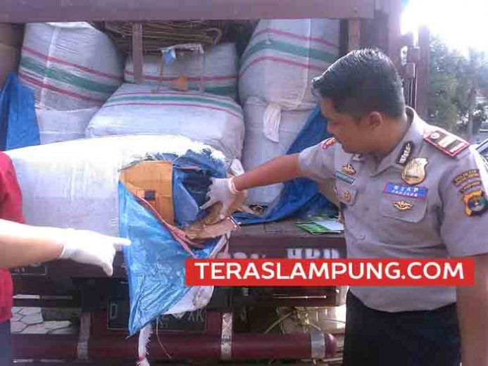 2,5 Ton Daging Celeng asal Sumsel Ini akan Dikirimkan ke Solo