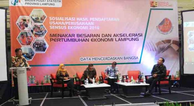 Sensus Ekonomi BPS: Jumlah Perusahaan di Lampung Terbesar Kedua Sumatera